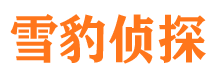 泗县找人公司